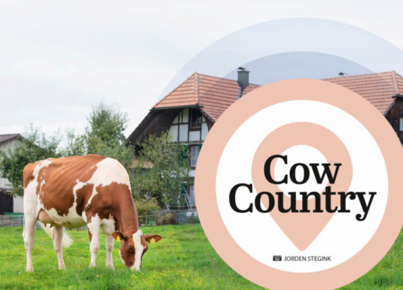 cow-country-maggio-2021_it.jpg