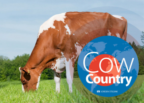 cow-country-mai-2018_de.jpg