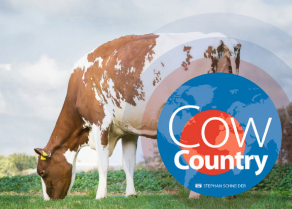 cow-country-marzo-2019_it.jpg