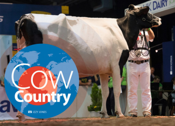 cow-country-november-2019.jpg