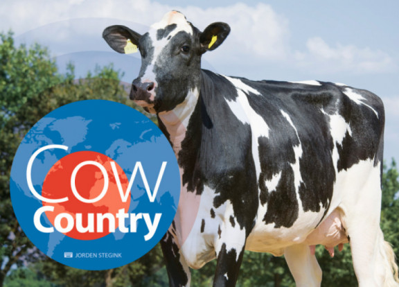 cow-country-september-2018_nl.jpg