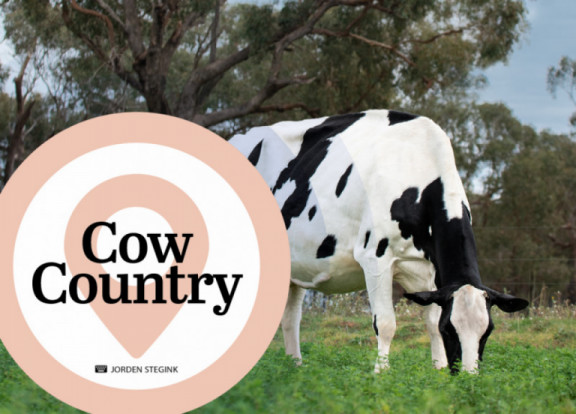 cow-country-september-2021_nl.jpg