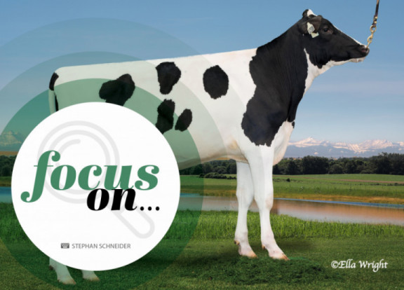 focus-on-dairy-strength_nl.jpg