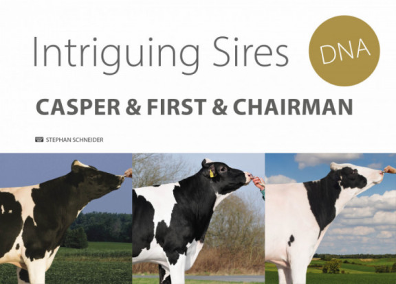 intriguing-sires-casper-first-chairman_de.jpg