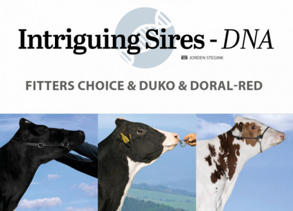 intriguing-sires-dna-aout-2021_fr.jpg