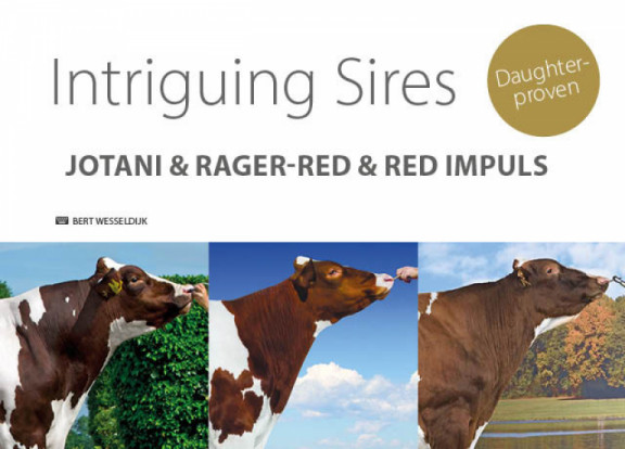 intriguing-sires-jotani-rager-red-red-impuls_it.jpg