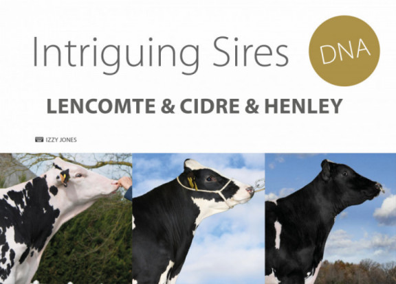 intriguing-sires-lencomte-cidre-henley_fr.jpg