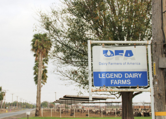 ron-pietersma-von-legend-dairy-farms-finde-die-magic-cross-und-nutze-sie-bestmoglich_de.jpg