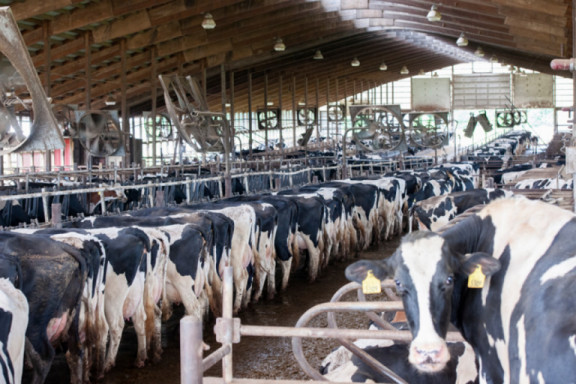 uniform-agri-vraag-naar-managementsoftware-in-melkveehouderij-blijft-groeien_nl.jpg