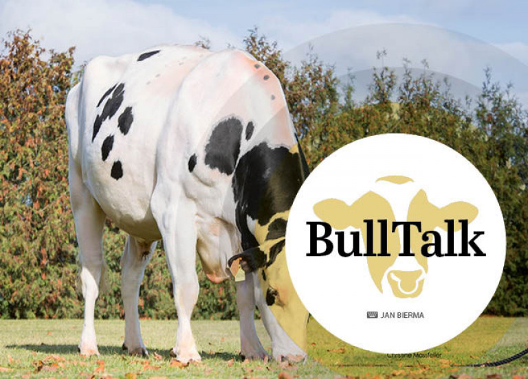 bull-talk-april-2020_de.jpg