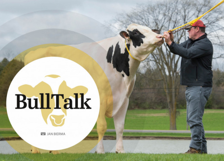 bull-talk-gennaio-2021_it.jpg