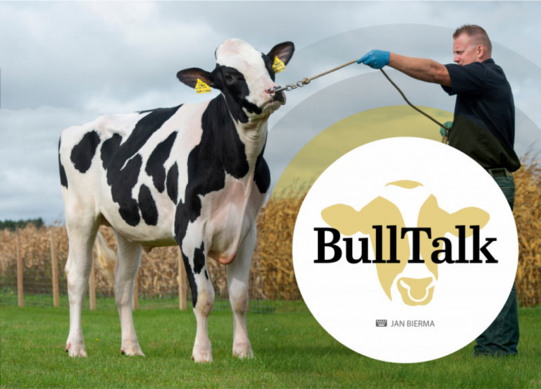 bull-talk-marz-2020_de.jpg