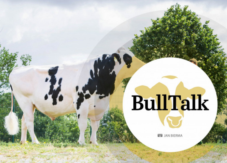 bull-talk-november-2020.jpg