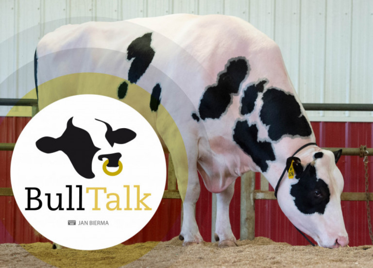 bulltalk-april-2019_nl.jpg