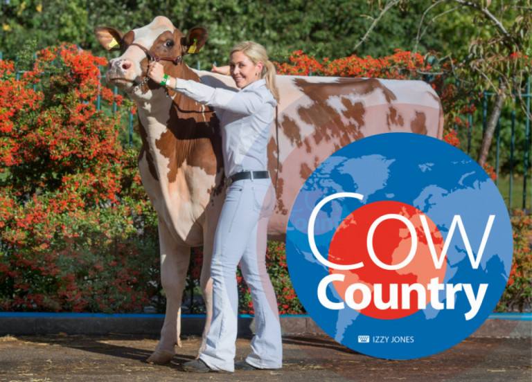 cow-country-2-ottobre-2017_it.jpg