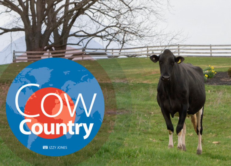 cow-country-augustus-2018_nl.jpg
