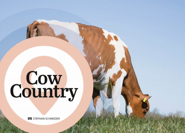 cow-country-december-2020_nl.jpg