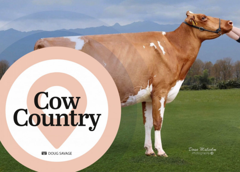 cow-country-febbraio-2021_it.jpg