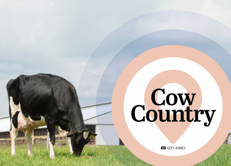 cow-country-febraio-2020_it.jpg