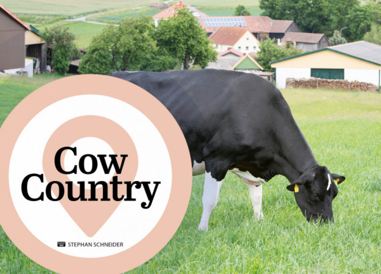 cow-country-ii-novembre-2021_fr.jpg