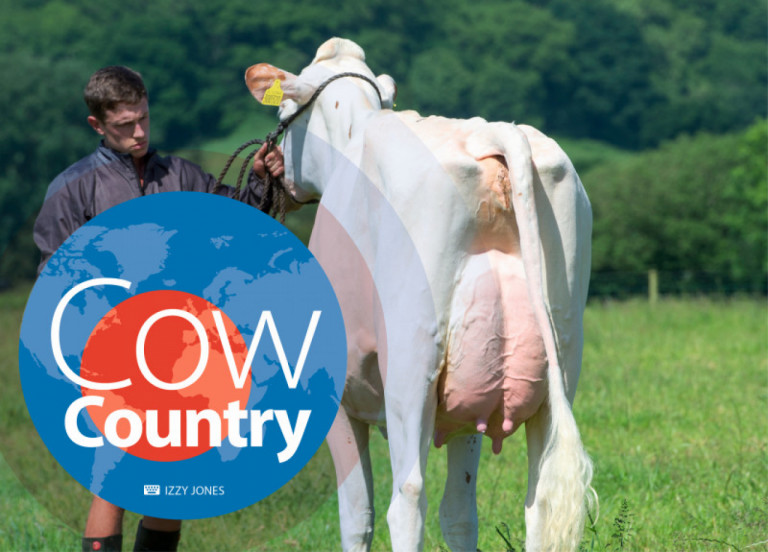 cow-country-juillet-2018_fr.jpg