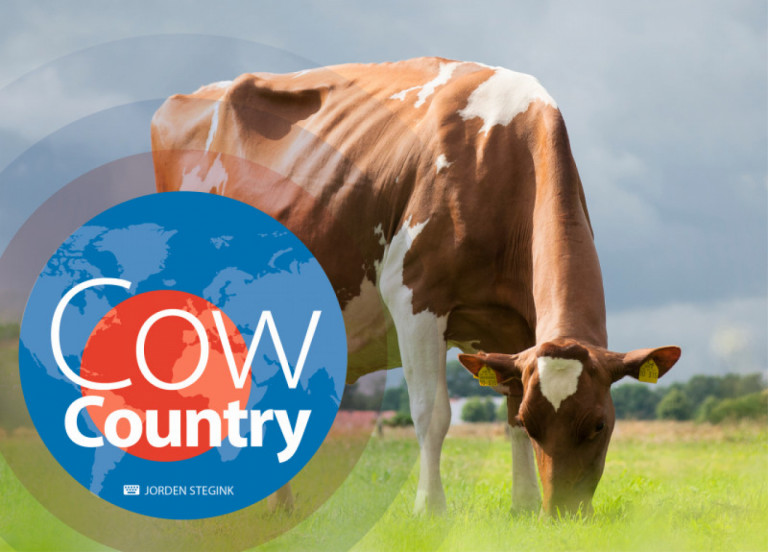 cow-country-juin-2018_fr.jpg