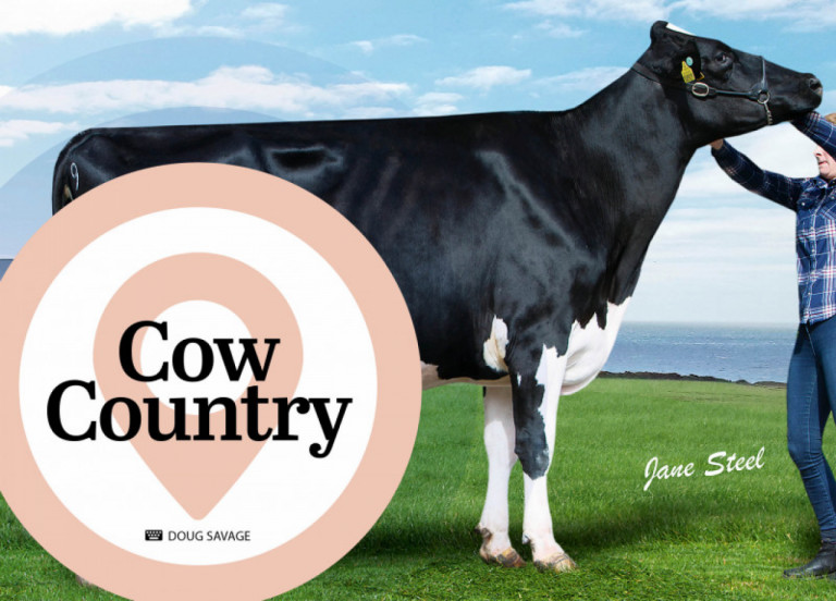 cow-country-juli-2020_de.jpg
