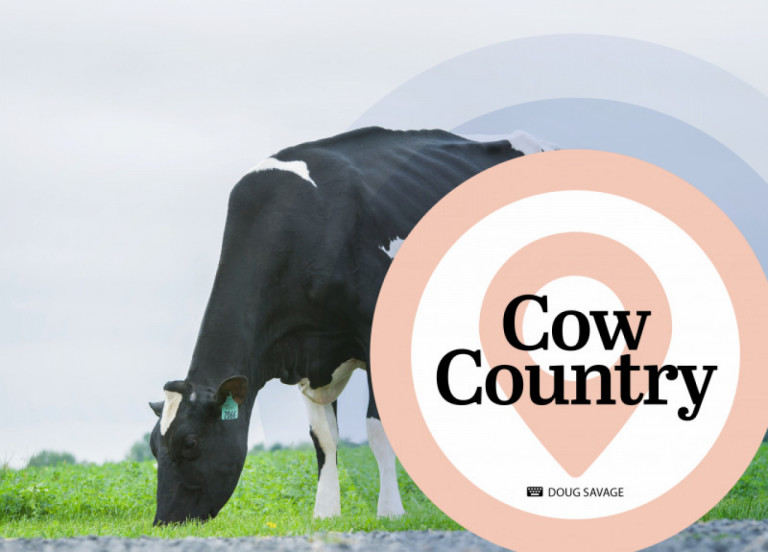 cow-country-september-2020_nl.jpg