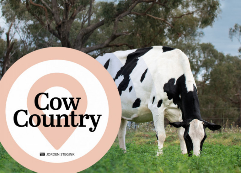 cow-country-september-2021.jpg