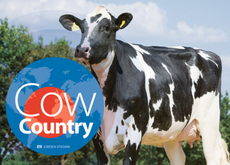 cow-country-septembre-2018_fr.jpg