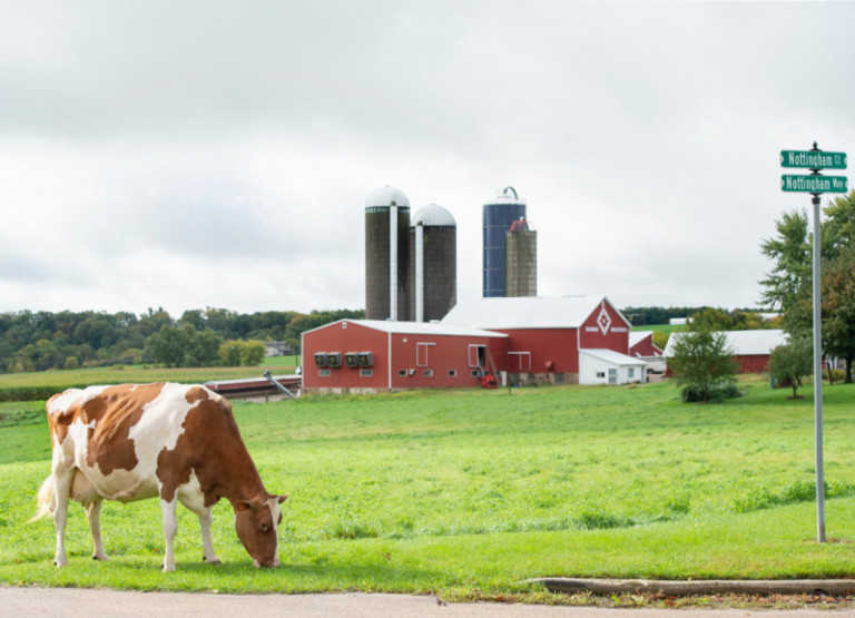 hilrose-in-wisconsin-a-herd-of-excellence.jpg