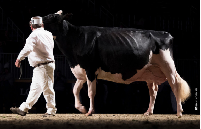 loyalyn-goldwyn-june-from-a-vg-85-2yr-old-to-a-renowned-north-american-superstar.jpg