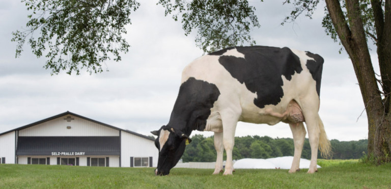 selz-pralle-dairy-home-of-the-world-milk-record-holder.jpg