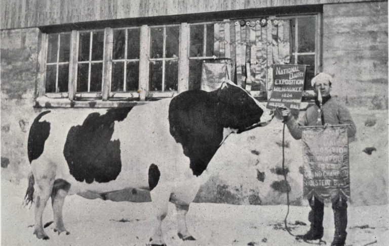 vor-100-jahren-geborenjrap-der-vielleicht-einflussreichste-bulle-der-holsteinrasse-1_de.jpg