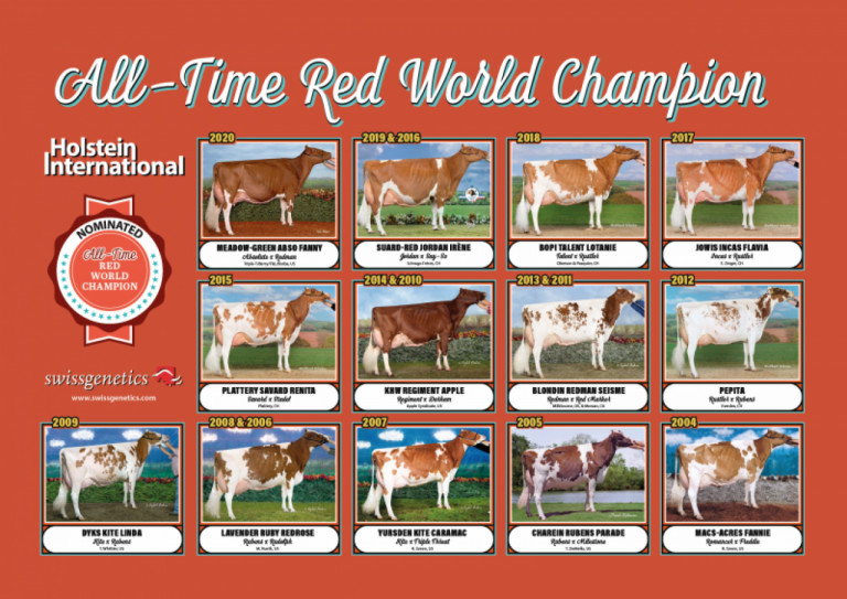vote-for-your-all-time-red-world-champion.jpg